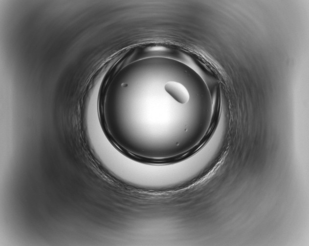 X0000096410969200801241217