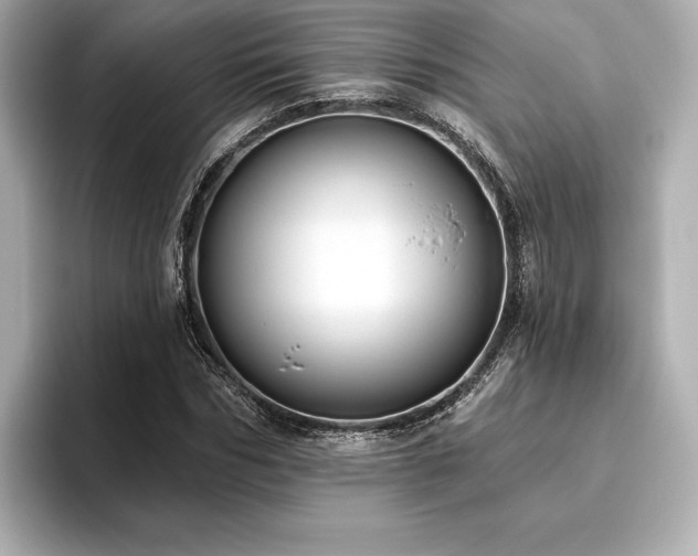 X0000096410970200801241217