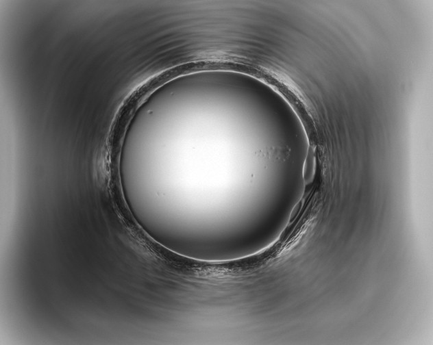 X0000096410971200801241217