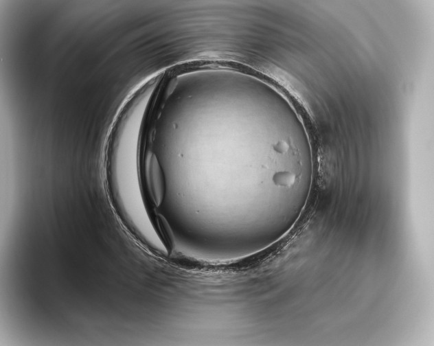 X0000096410972200801241217