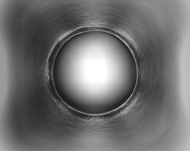 X0000096410974200801241217