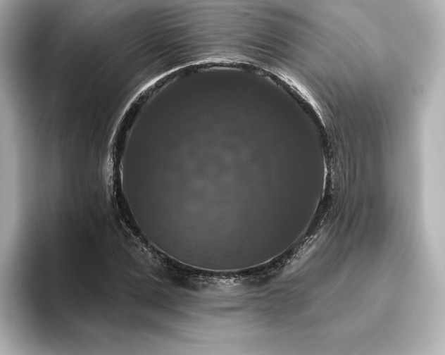 X0000096410975200801241217