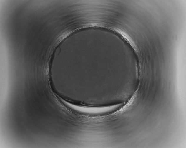 X0000096410977200801241217