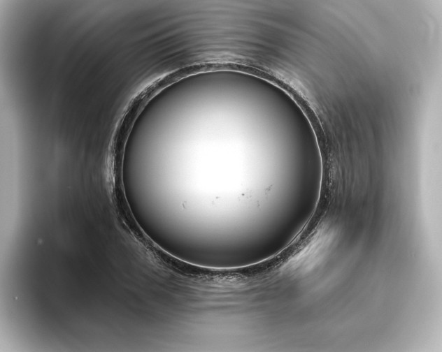 X0000096410979200801241217