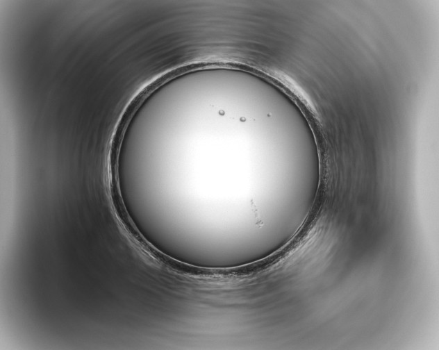 X0000096410980200801241217