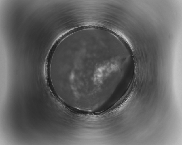 X0000096410983200801241217