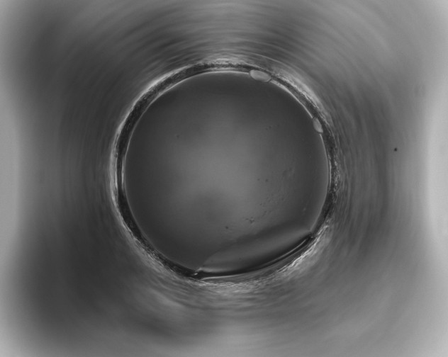 X0000096410984200801241217