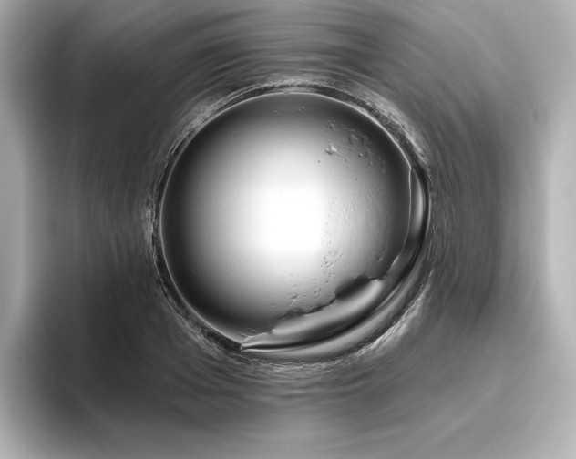 X0000096410985200801241217