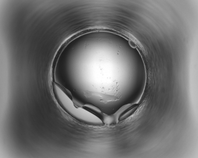 X0000096410988200801241217