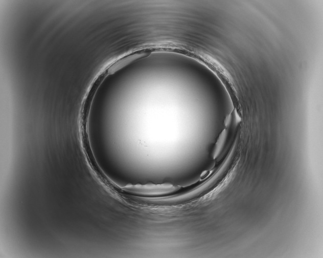 X0000096410989200801241217