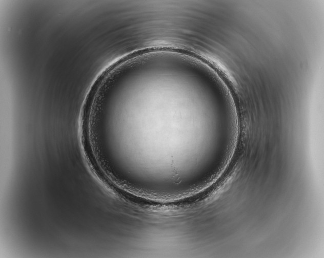 X0000096410991200801241217