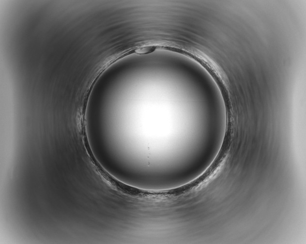 X0000096410993200801241217