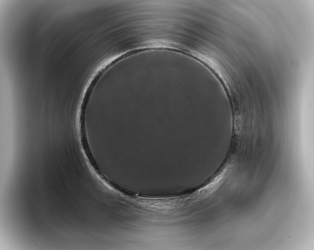 X0000096410995200801241217