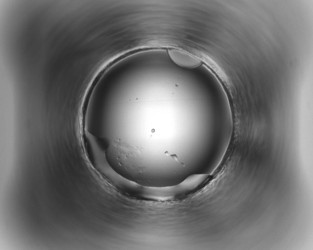 X0000096410996200801241217
