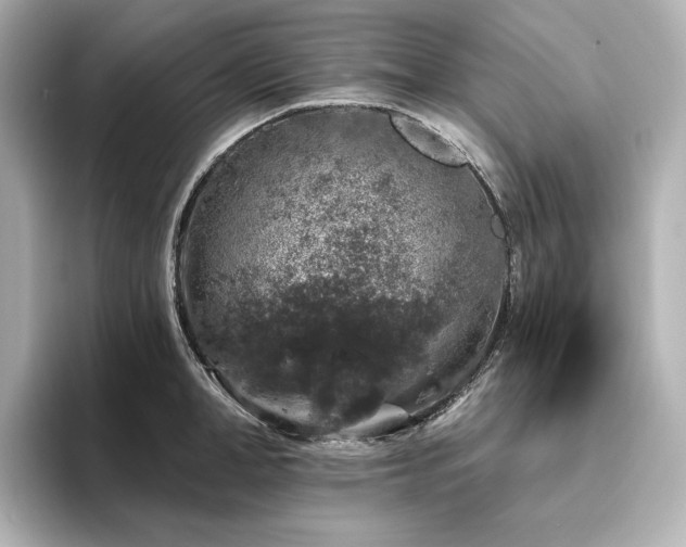 X0000096410998200801241217