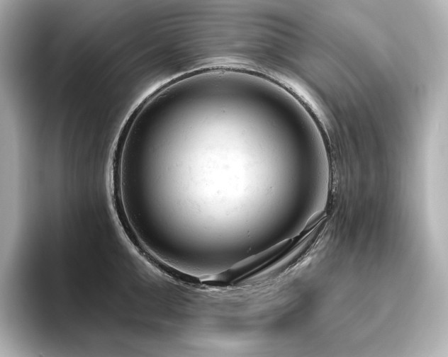 X0000096410999200801241217