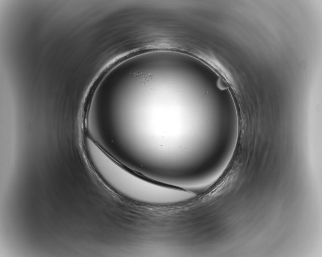 X0000096411000200801241217