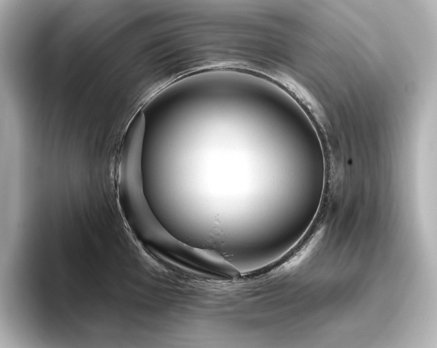 X0000096411001200801241217