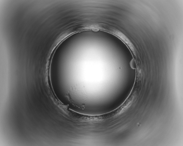 X0000096411002200801241217