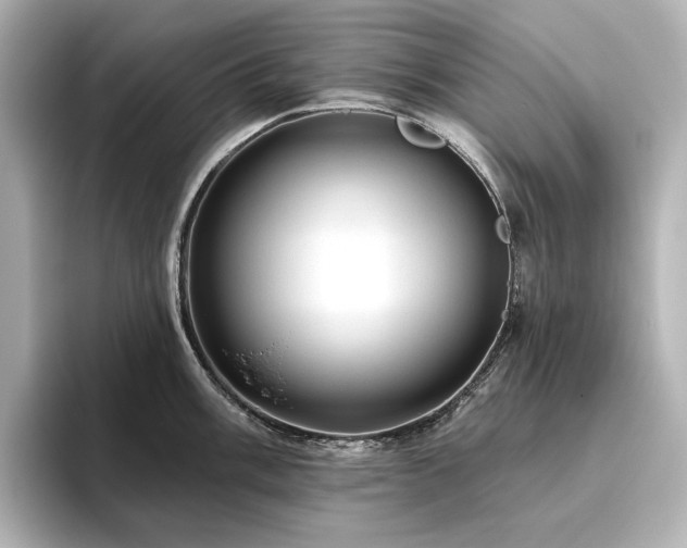 X0000096411003200801241217