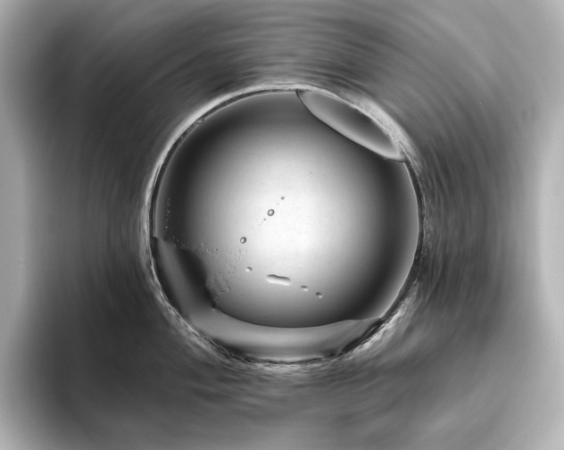 X0000096411004200801241217