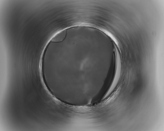 X0000096411007200801241217