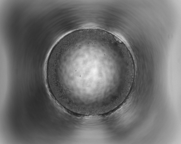 X0000096411008200801241217