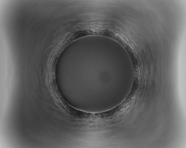 X0000096411009200801241216