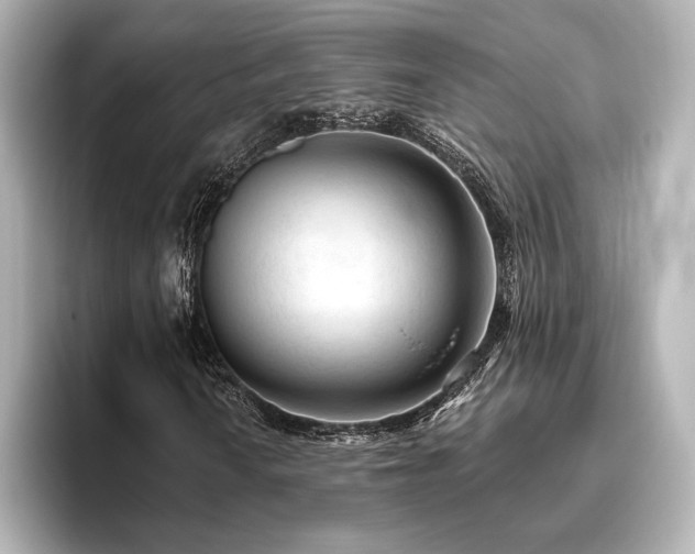 X0000096411010200801241216