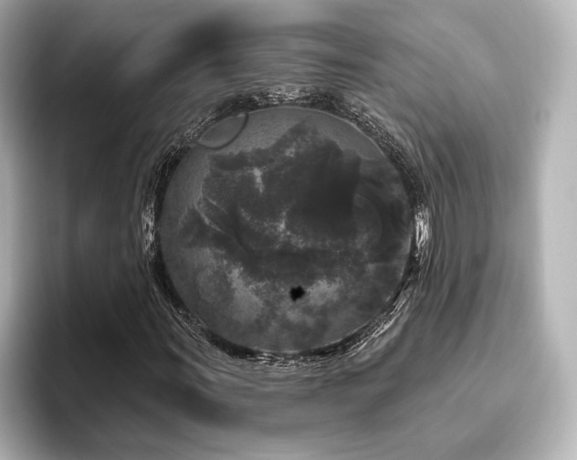 X0000096411011200801241216