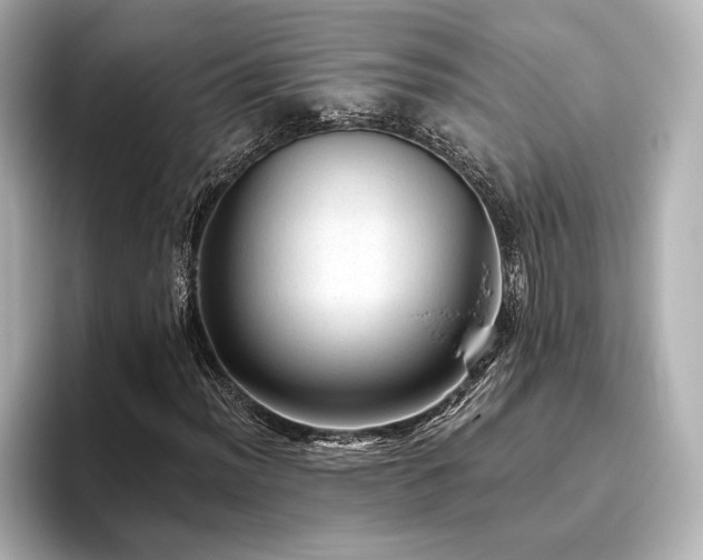 X0000096411012200801241216