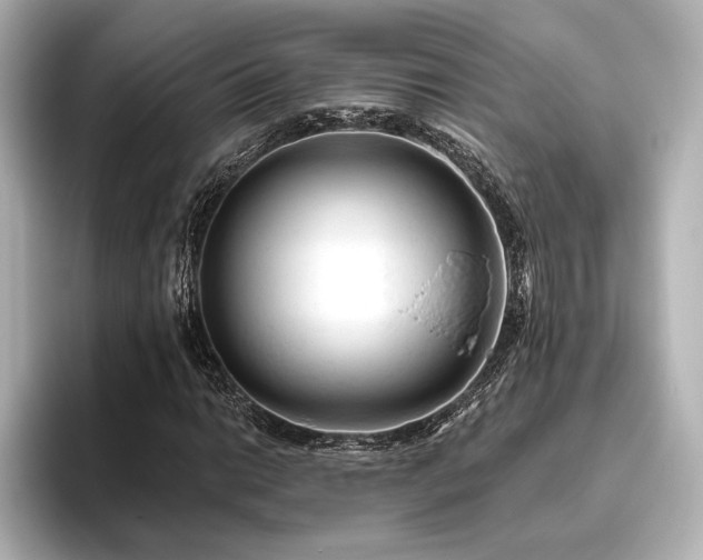 X0000096411014200801241216