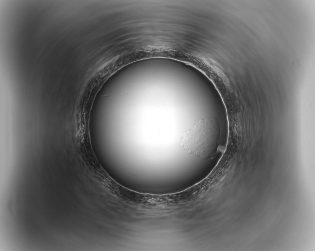 X0000096411015200801241216