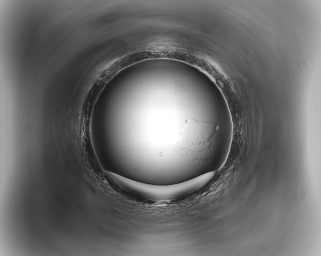 X0000096411016200801241216