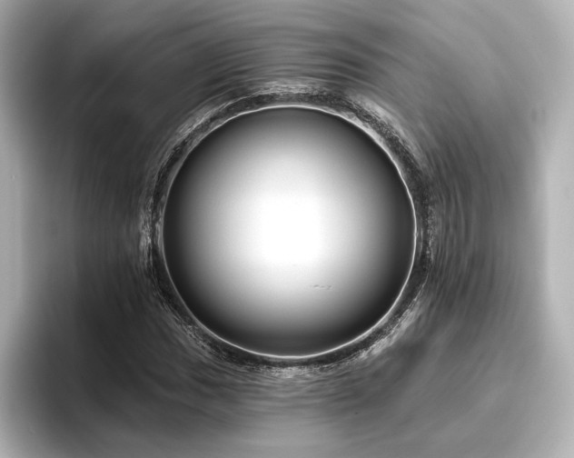 X0000096411017200801241216