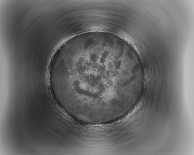 X0000096411019200801241216