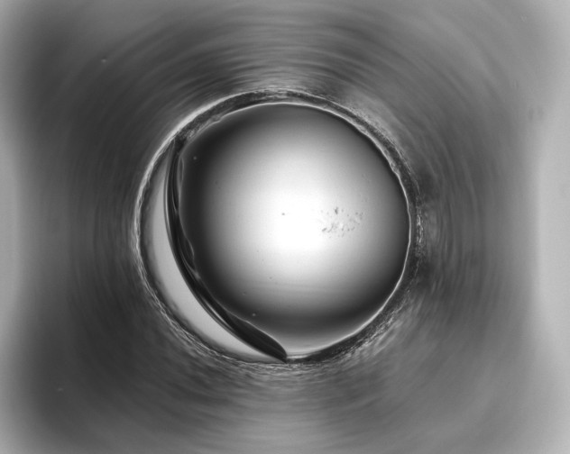 X0000096411020200801241216