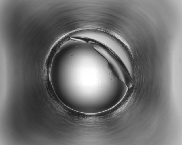 X0000096411021200801241216