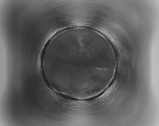X0000096411023200801241216