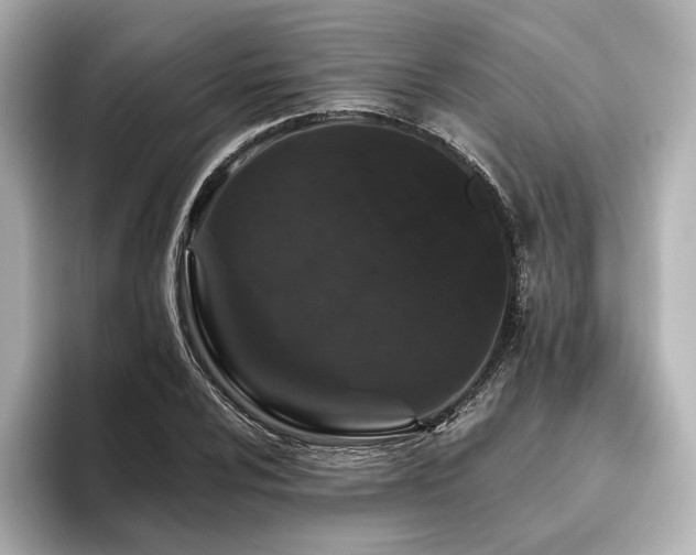 X0000096411024200801241216