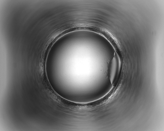 X0000096411025200801241216