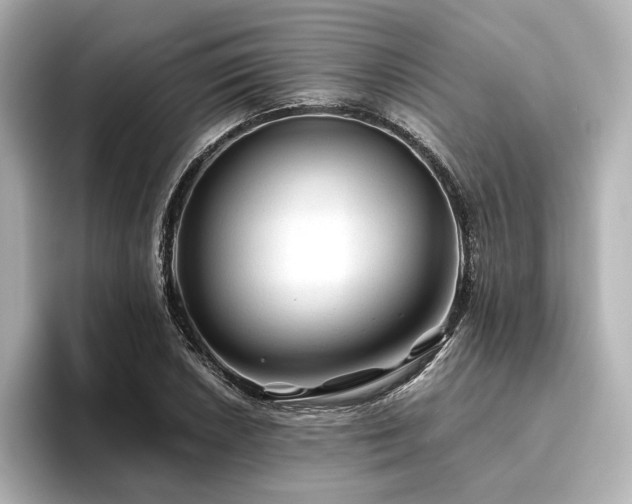 X0000096411026200801241216