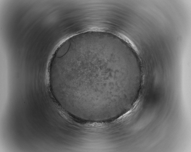 X0000096411027200801241216