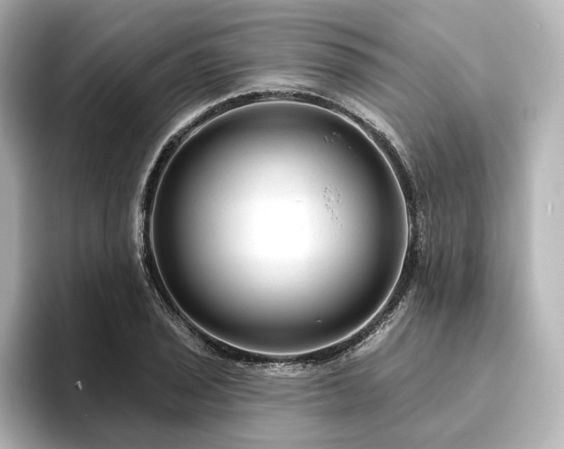 X0000096411029200801241216