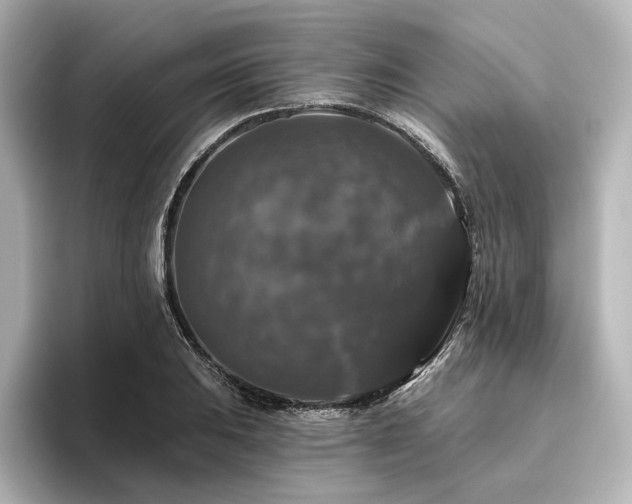 X0000096411031200801241216