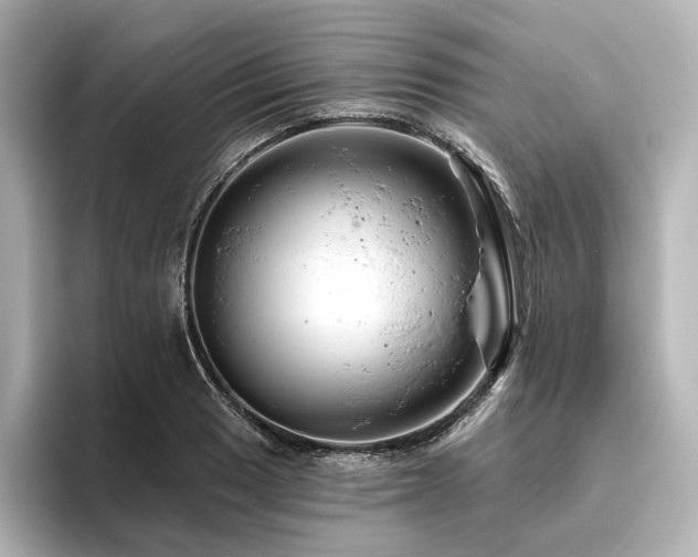 X0000096411033200801241216