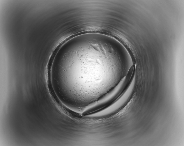 X0000096411034200801241216