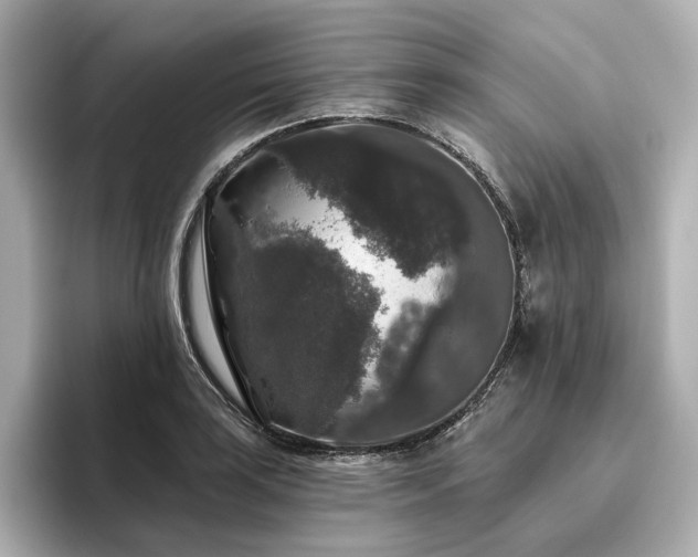 X0000096411035200801241216