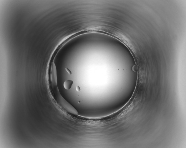 X0000096411036200801241216
