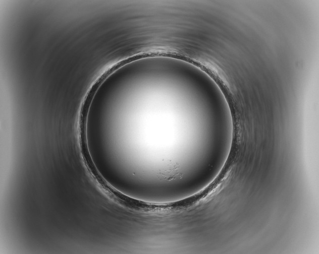 X0000096411038200801241217